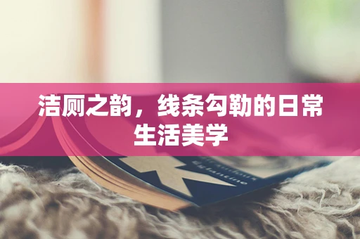 洁厕之韵，线条勾勒的日常生活美学