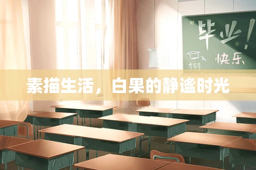 素描生活，白果的静谧时光