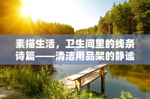 素描生活，卫生间里的线条诗篇——清洁用品架的静谧之美