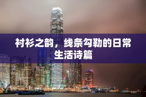 衬衫之韵，线条勾勒的日常生活诗篇