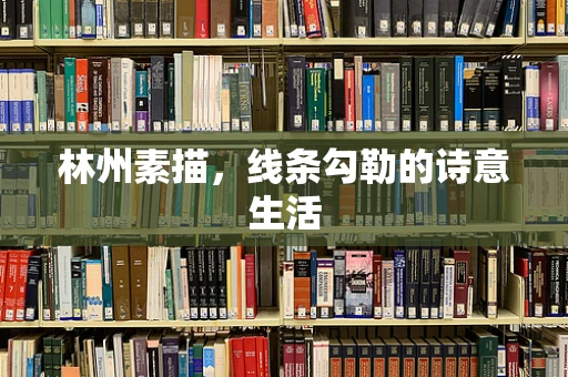 林州素描，线条勾勒的诗意生活