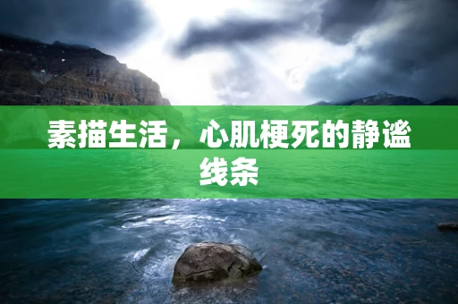 素描生活，心肌梗死的静谧线条