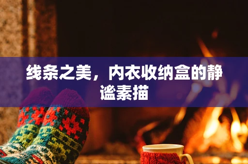 线条之美，内衣收纳盒的静谧素描
