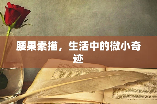 腰果素描，生活中的微小奇迹