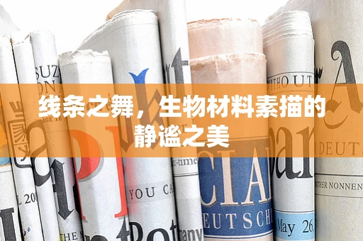 线条之舞，生物材料素描的静谧之美