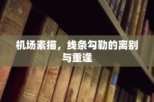 机场素描，线条勾勒的离别与重逢