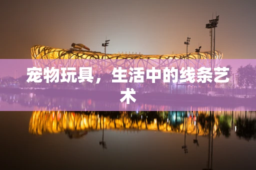 宠物玩具，生活中的线条艺术