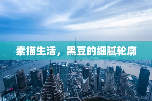 素描生活，黑豆的细腻轮廓