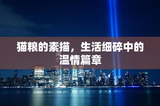 猫粮的素描，生活细碎中的温情篇章