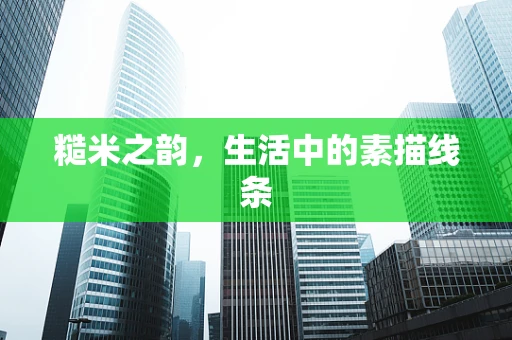 糙米之韵，生活中的素描线条