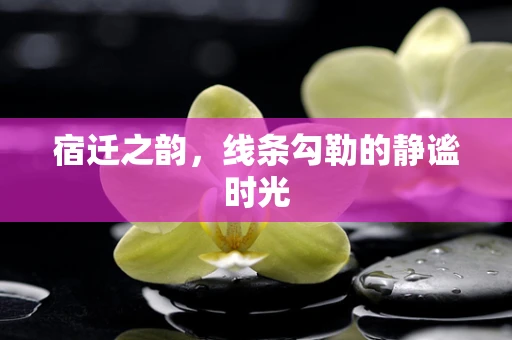 宿迁之韵，线条勾勒的静谧时光