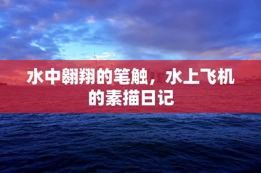 水中翱翔的笔触，水上飞机的素描日记