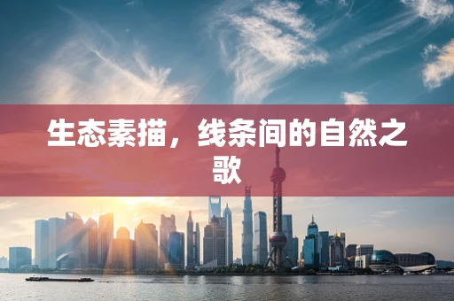 生态素描，线条间的自然之歌