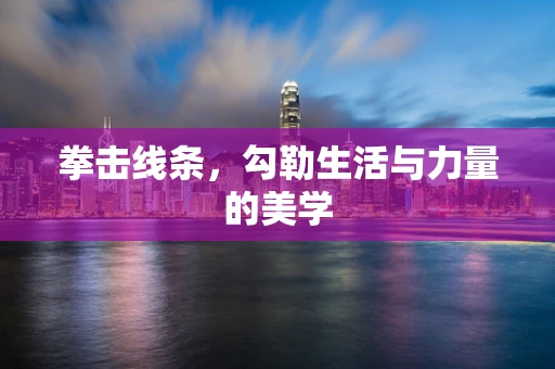 拳击线条，勾勒生活与力量的美学