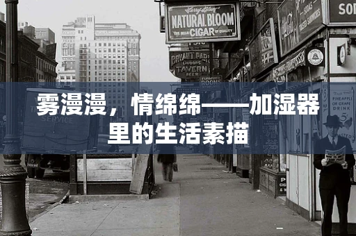 雾漫漫，情绵绵——加湿器里的生活素描