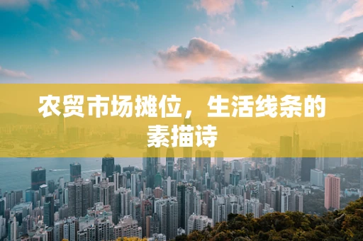 农贸市场摊位，生活线条的素描诗