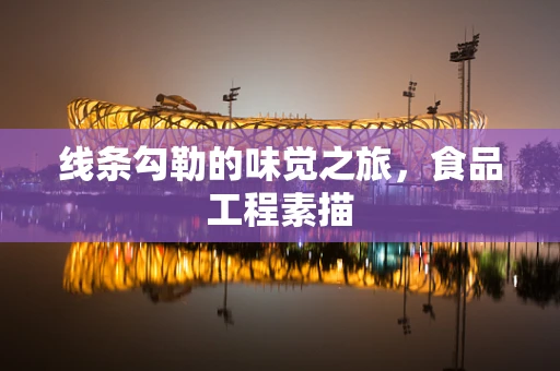 线条勾勒的味觉之旅，食品工程素描