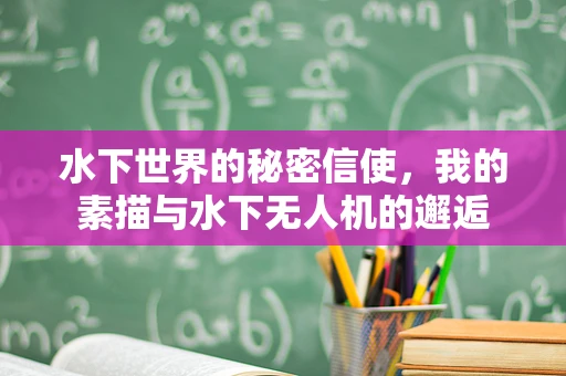 水下世界的秘密信使，我的素描与水下无人机的邂逅