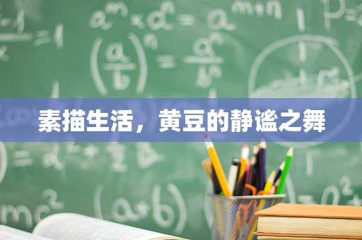 素描生活，黄豆的静谧之舞