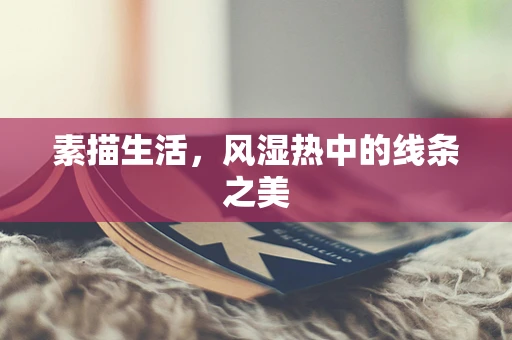 素描生活，风湿热中的线条之美