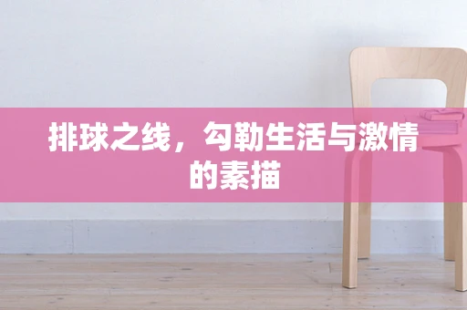 排球之线，勾勒生活与激情的素描