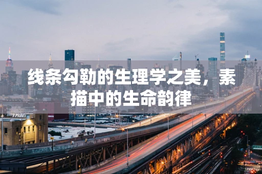 线条勾勒的生理学之美，素描中的生命韵律