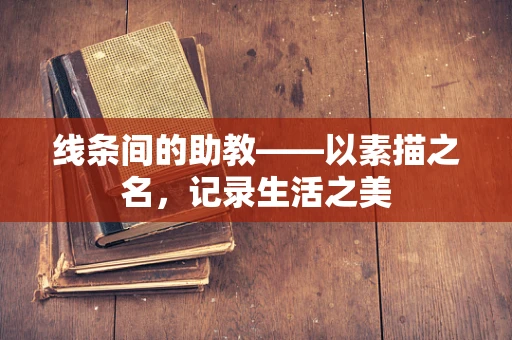 线条间的助教——以素描之名，记录生活之美
