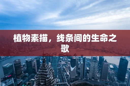 植物素描，线条间的生命之歌