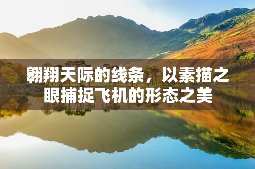 翱翔天际的线条，以素描之眼捕捉飞机的形态之美