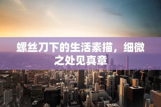 螺丝刀下的生活素描，细微之处见真章