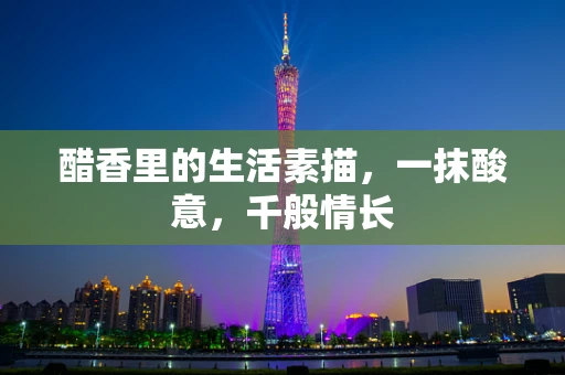 醋香里的生活素描，一抹酸意，千般情长