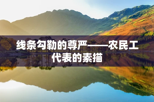 线条勾勒的尊严——农民工代表的素描