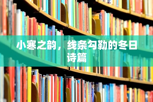小寒之韵，线条勾勒的冬日诗篇