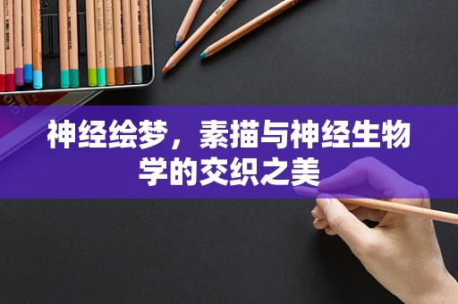 神经绘梦，素描与神经生物学的交织之美