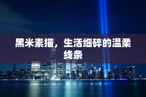 黑米素描，生活细碎的温柔线条