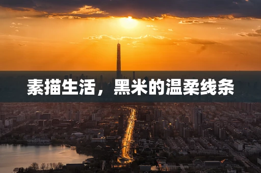 素描生活，黑米的温柔线条