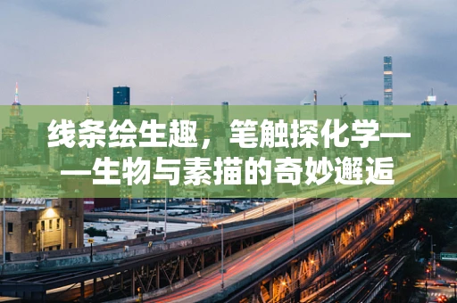 线条绘生趣，笔触探化学——生物与素描的奇妙邂逅