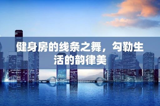 健身房的线条之舞，勾勒生活的韵律美