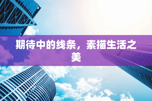 期待中的线条，素描生活之美