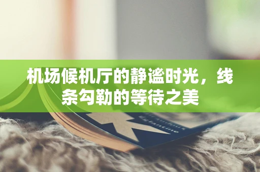 机场候机厅的静谧时光，线条勾勒的等待之美