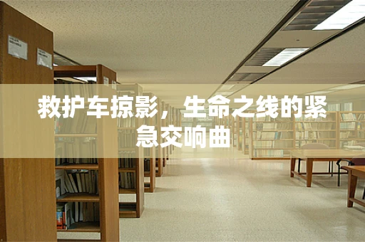 救护车掠影，生命之线的紧急交响曲