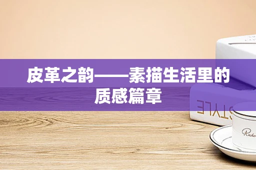 皮革之韵——素描生活里的质感篇章