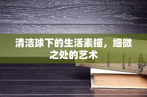清洁球下的生活素描，细微之处的艺术