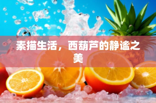 素描生活，西葫芦的静谧之美