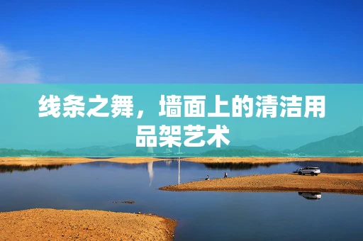 线条之舞，墙面上的清洁用品架艺术