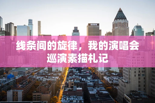 线条间的旋律，我的演唱会巡演素描札记
