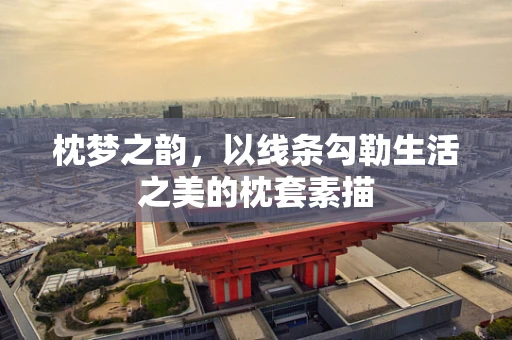 枕梦之韵，以线条勾勒生活之美的枕套素描