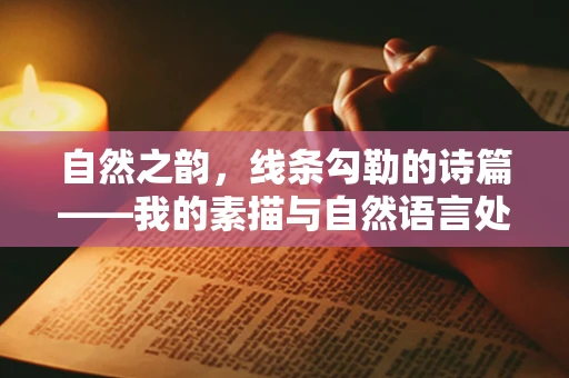 自然之韵，线条勾勒的诗篇——我的素描与自然语言处理之旅