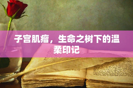 子宫肌瘤，生命之树下的温柔印记