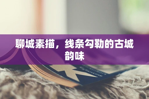 聊城素描，线条勾勒的古城韵味